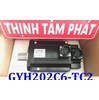 Motor servo Fuji GYH202C6-TC2